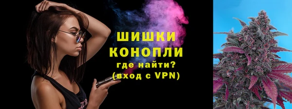 дживик Киренск